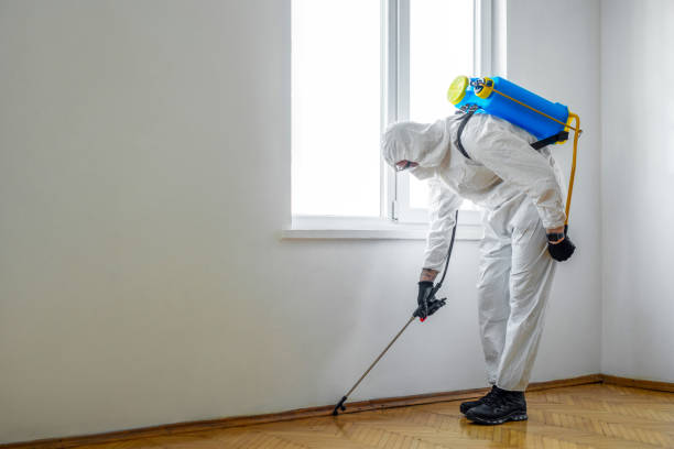 Best Commercial Pest Control  in Eastwood, LA